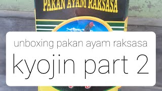 rahasia pakan ayam raksasa#peternakmurniayamsiamindonesia #ayamshamo