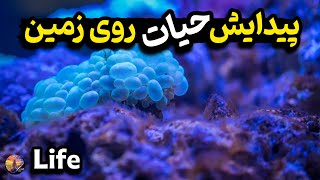 چگونه ماده بی اثر می تواند به زندگی تبدیل شود؟ | راز پیدایش زندگی