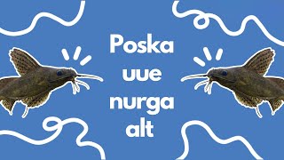 Üks päev Tartu Jaan Poska Gümnaasiumis (uue nurga alt!) | Erika Eliise Kupper