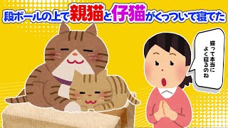 【2chほっこり】段ボールの上で親猫と仔猫がくっついて寝てた