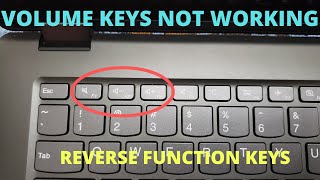 Volume Button Not Working - Reverse Function Keys and Multimedia Keys (F1-F12)