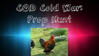 Black Ops Cold War Prop Hunt Funny Moments - Run Chicken RUNNN!!!