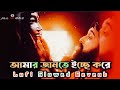 shyama sangeet lofi slowed আমার জানতে ইচ্ছে করে devotional song shyama sangeet in bengali