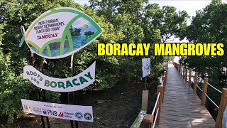 Boracay Mangroves The Roots for Boracay