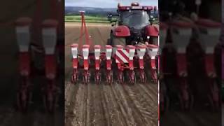 Seedtech drilling winter oilseed rape seed