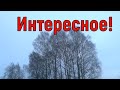 3 января День Петра Что нельзя делать 3 января в День Петра Народные традиции и приметы