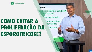 Cuidados com a Esporotricose Felina