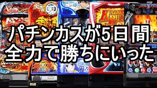 パチンカスが5日間 全力で勝ちにいった【日常第34話】[パチスロ][スロット]