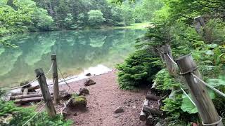 Mt.Shirane Nikko