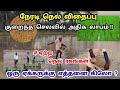 நேரடி நெல் விதைப்பு முறை | neradi nel vithaippu | செலவு கொஞ்சம் | லாபம் அதிகம் | Tamil