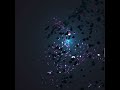 MIND BLOWING javascript animation library - new technology & where to get it! #shorts #javascript
