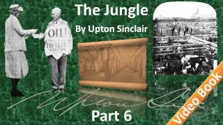 Part 6 - The Jungle Audiobook by Upton Sinclair (Chs 23-25)