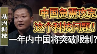 中國急需攻剋這個科技問題？一旦突破，中國崛起之路將無人可擋？美國再也沒辦法限制中國？#竇文濤 #圓桌派 #人生感悟