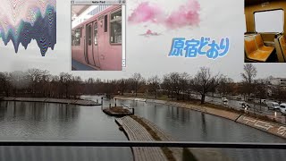 train ride next to the river ♡₊˚ 🦢・₊✧𐦍