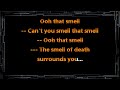 lynyrd skynyrd • that smell cc 🎤 karaoke instrumental lyrics