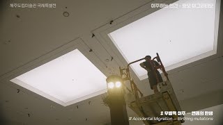 [프로젝트 제주] 우발적 이주 Teaser_《이주하는 인간_호모 미그라티오》 주제별 영상