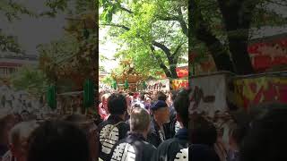 【4K】花園神社 例大祭 -Reitai Festival, Hanazono Shrine-