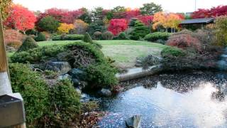 2016 Hiraoka jugei center sapporo Hokkaido 平岡樹芸センター 綺麗な紅葉と庭園2