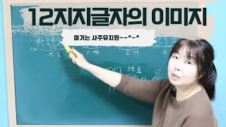 [계절사주-초급반] 12지지글자의 이미지화 -제5강