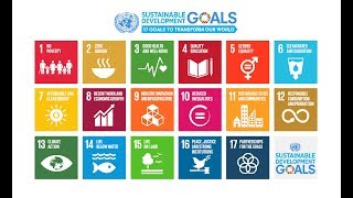 SDGs and the Earth Charter