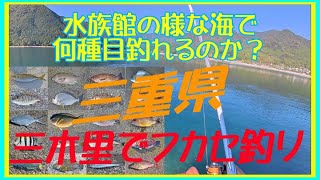 2024年12月　三重県三木里でフカセ釣り　何種類釣れるでしょう！