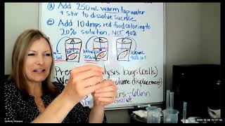 Cell Structure & Function Lab Activity 2