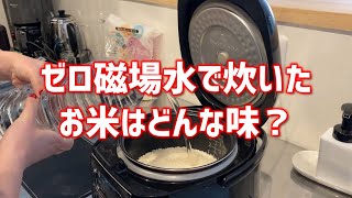 🍎ゼロ磁場水を使って実験してみた！～お米編～