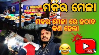 ମକର ମେଳାରେ ହଠାତ କଣ ହେଇଗଲା //Raghunath sahoo #youtube Video #🙏🙏