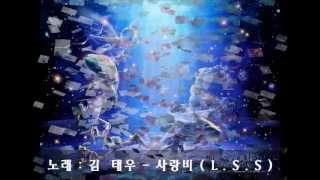 김  태우 - 사랑비