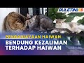 PENGANIAYAAN HAIWAN | Tambah Baik Undang-Undang Kebajikan Haiwan, Denda Lebih Berat