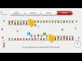 animated pcr real time qpcr procedure