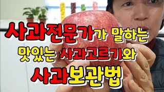 사과전문가가 말하는 맛있는사과고르는법과 보관법에 대해 알려드려요