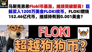 马斯克弟弟Floki币暴涨，继续突破新高！巨鲸买入1200万美金FLOKI枚币，FLOKI燃烧152.46亿代币，继续持有到0.001美金？Floki币|马斯克弟弟发行币|Floki币行情分析！