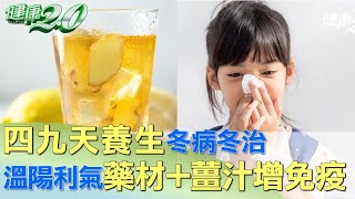 四九天養生冬病冬治 溫陽利氣藥材+薑汁增免疫 健康2.0  @tvbshealth20