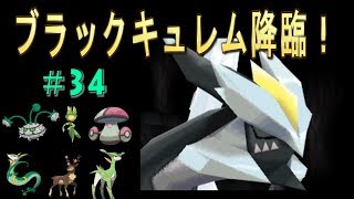 [BW2]ポケモンブラック２草タイプ縛りで実況プレイ！ブラックキュレム降臨！#35