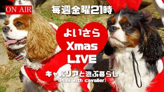 【🔴よいさらLIVE＃1】Xmasを一緒にお祝いしましょう💛