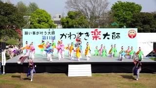 子鳩子兎 横浜百姫隊　in　かわさき楽大師「厄除よさこい」　2015