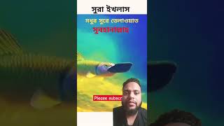 অসাধারণ কন্ঠ সুরা এখলাস #qurantilawat #trending #like #share #duet #reels #hm_shorts_bd #duetqori