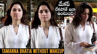 Tamanna Bhatia Without Makeup Spotted At Airport | Tamanna Bhatia Latest Video | Daily Culture