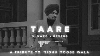 Taare (Slowed+Reverb) - Sidhu Moosewala | Feel The Lo-Fi | Tribute To @Sidhu Moose Wala 💔