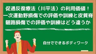 促通反復療法（川平法）の利用価値！一次運動野損傷での評価や訓練と皮質脊髄路損傷での評価や訓練はどう違うか