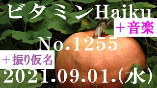 今日の俳句＋音楽。ビタミンHaiku。No.1255。2021.09.01.(水曜日)