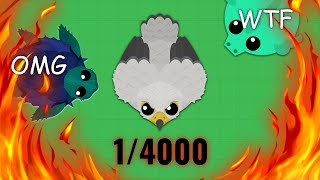 I GOT INSANE 1/4000 SHAHEEN FALCON IN MOPE.IO AND THIS HAPPENED...//Summer Update Review + Gameplay!