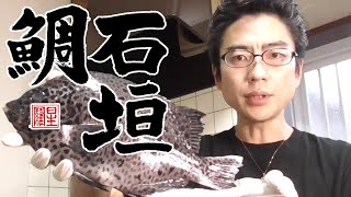 本編059　イシガキダイを捌いて刺身にしてみた。