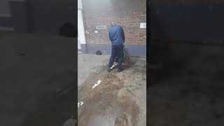 Basement/Parking lot Cleaning