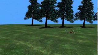 C3D Quadruped motion builder(Hemen)