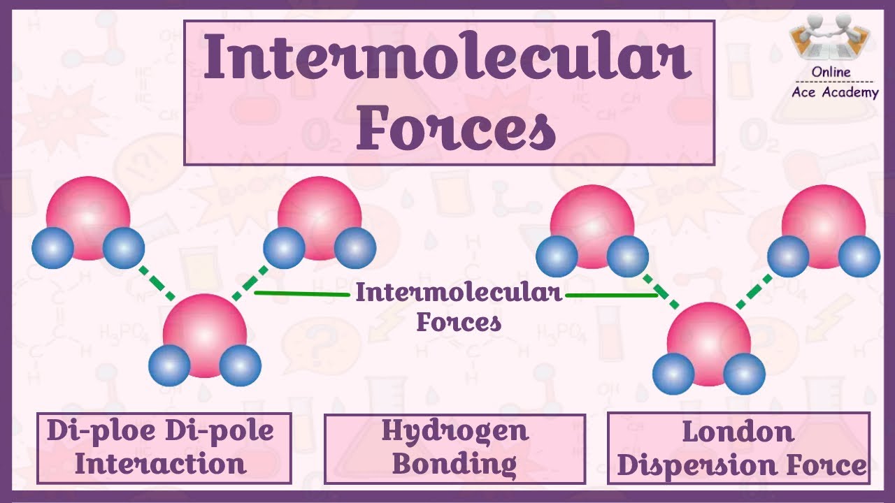 Intermolecular Forces Examples