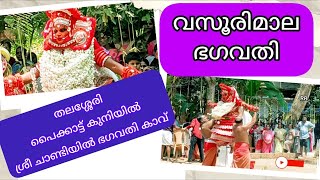 ശ്രീ ചാണ്ടിയിൽ ഭഗവതി കാവിലെ വസൂരിമാല നിറഞ്ഞാടിയപ്പോൾ / Vasoorimaala Bhagavathi Theyyam