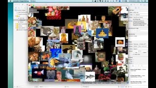 ofxTSNE example-images TEST