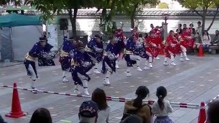 安倉おきゃん・だまされてヨサコイ 2016年2月14日